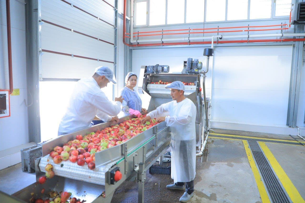 Фото завода